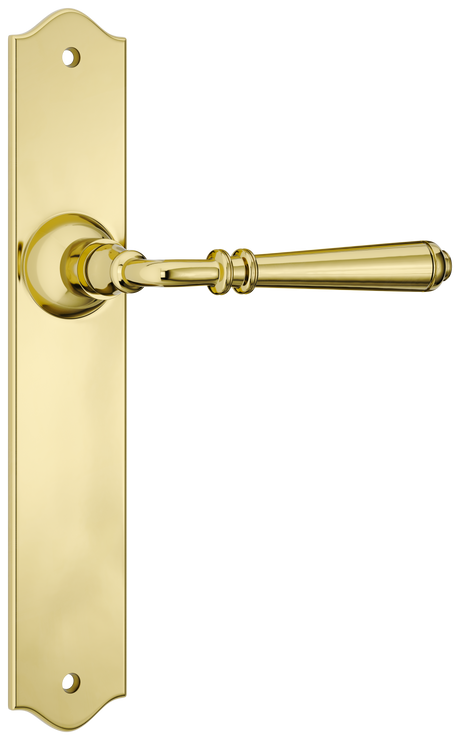 Tradco Reims Lever Long Plate, Polished Brass, Passage