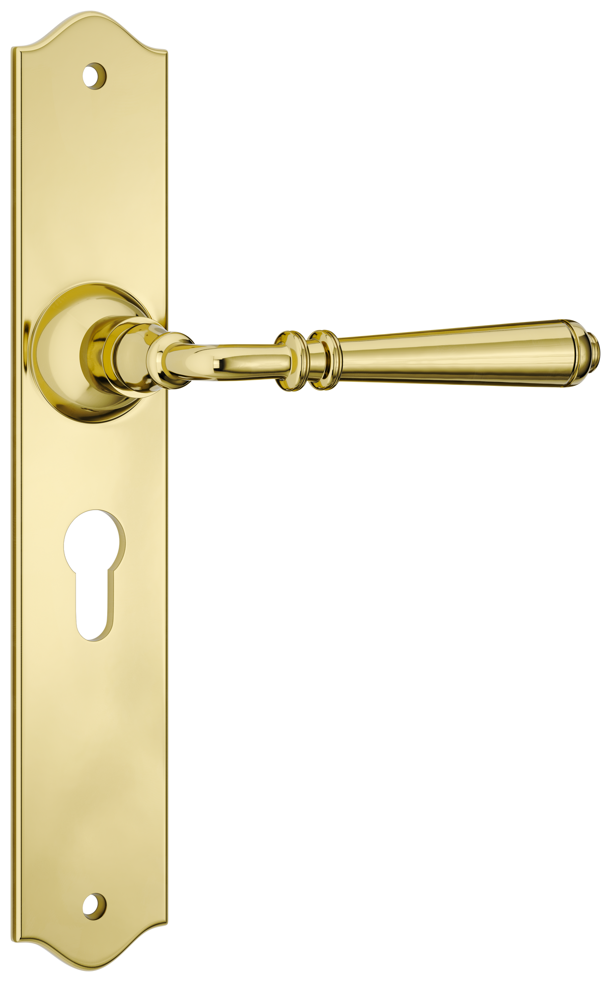 Tradco Reims Lever Long Plate, Polished Brass, Euro
