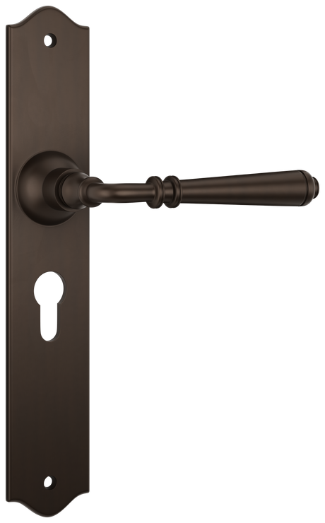 Tradco Reims Lever Long Plate, Antique Brass, Euro