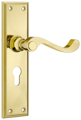 Tradco Milton Lever, Polished Brass, Euro