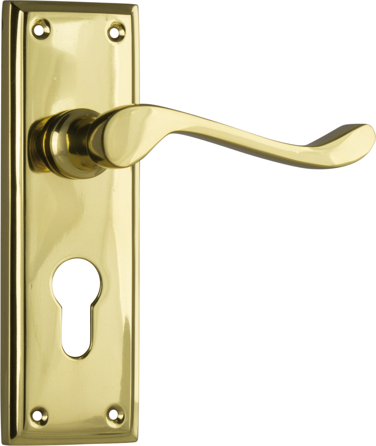 Tradco Camden Euro Lever, Polished Brass