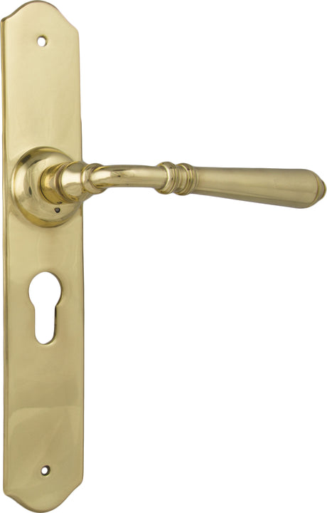 Tradco Reims Lever Long Plate, Unlacquered Polished Brass, Euro