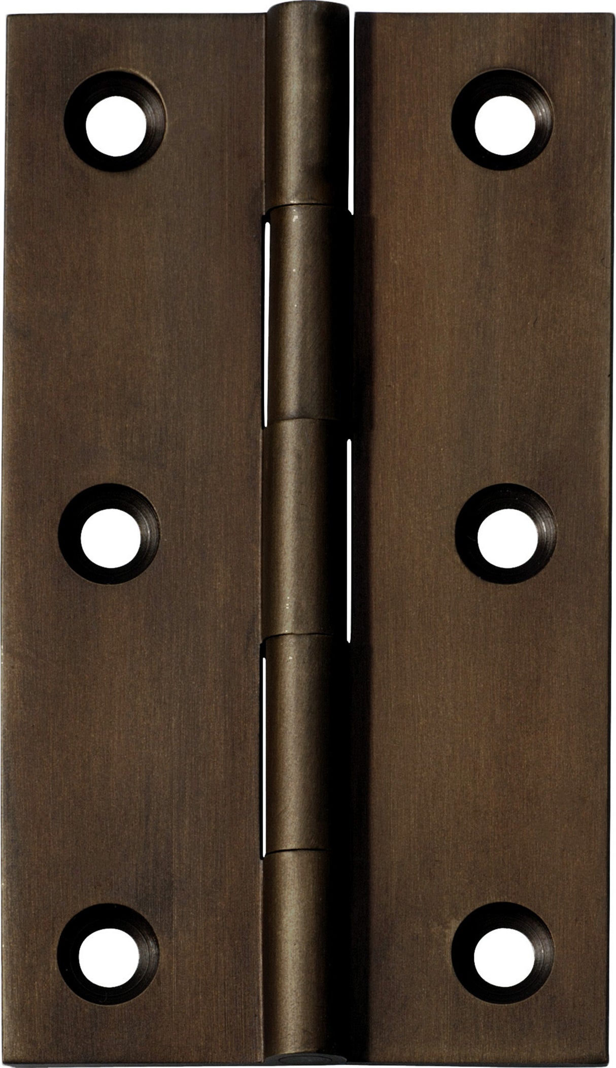 Tradco Fixed Pin Hinge Antique Brass / Signature Brass 89 x 50mm