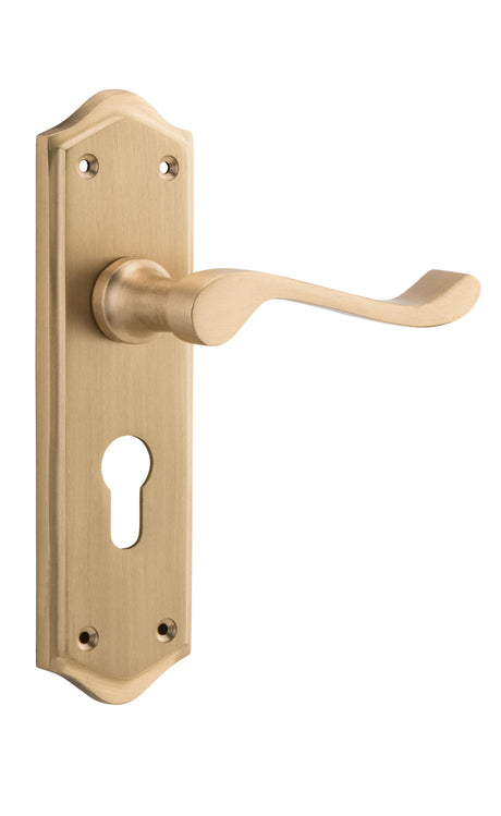 Tradco Henley Euro Lever, Satin Brass