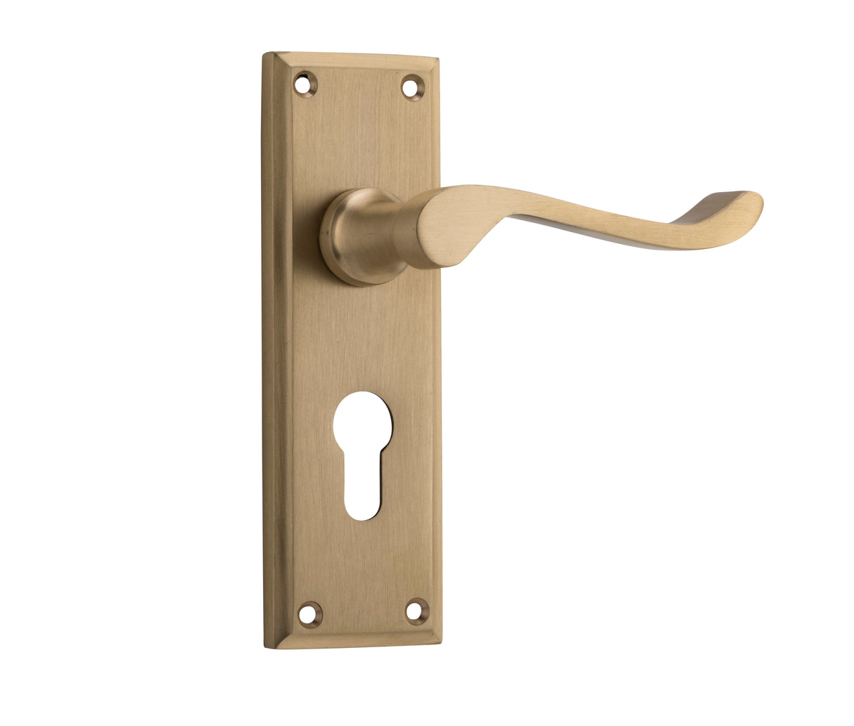 Tradco Camden Euro Lever, Satin Brass