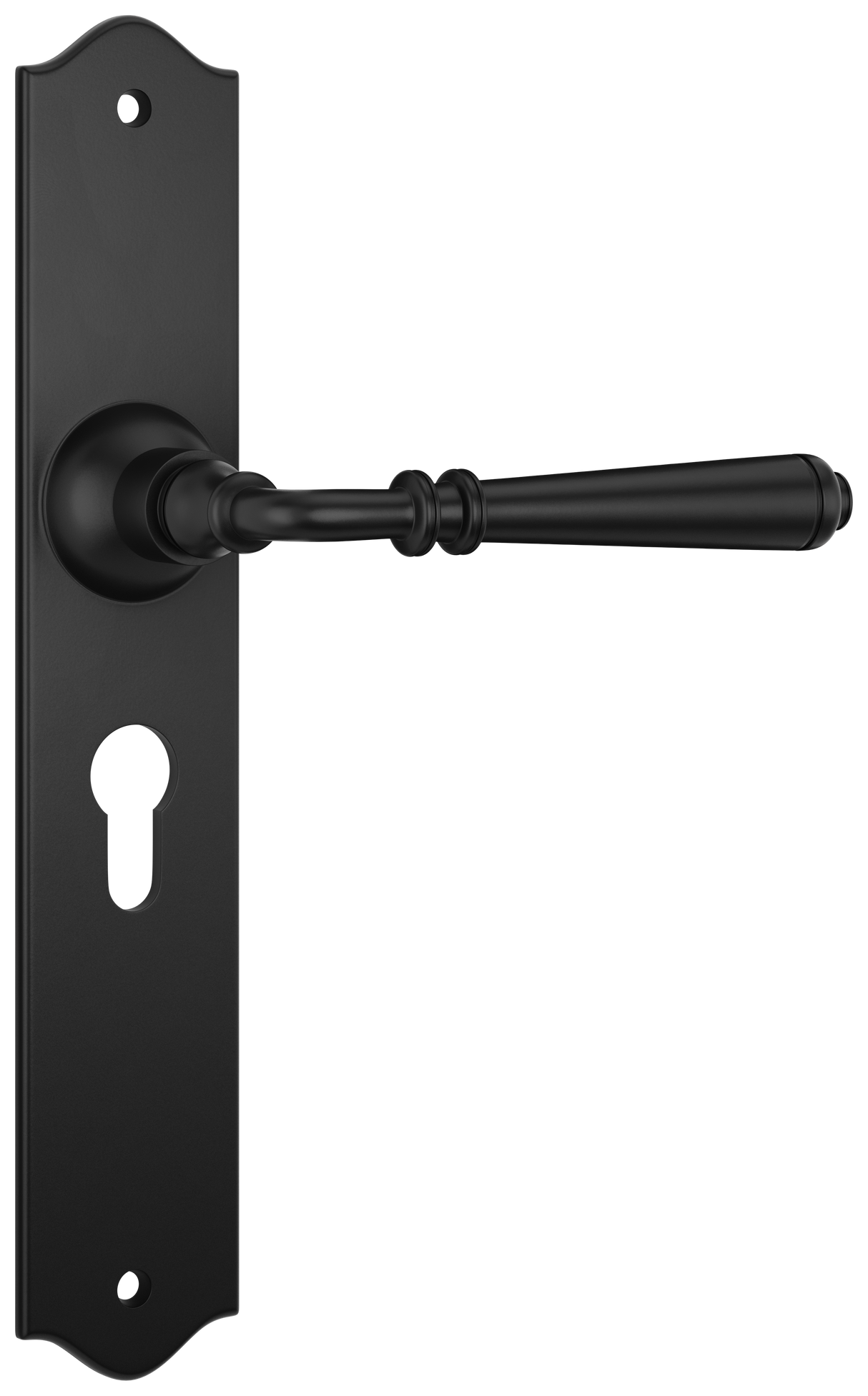 Tradco Reims Lever Long Plate, Matt Black, Euro