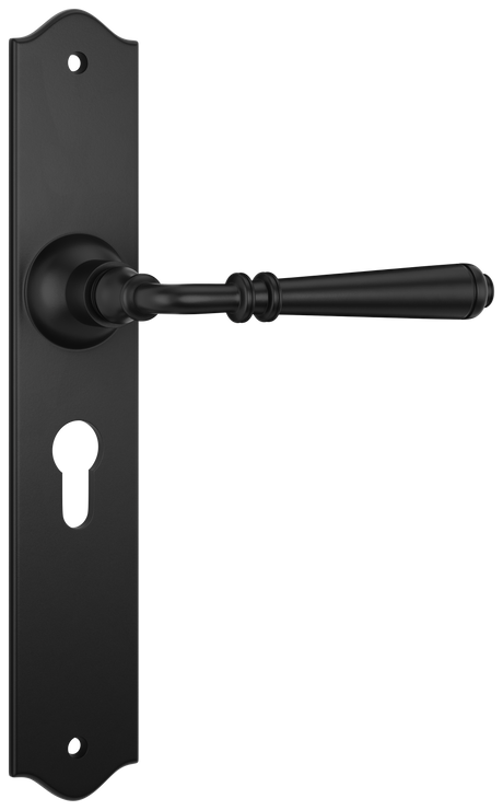 Tradco Reims Lever Long Plate, Matt Black, Euro
