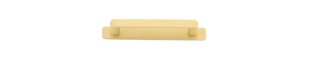 Iver Osaka Cabinet Pull with Backplate - Brushed Gold PVD - CTC 128mm (17431B)
